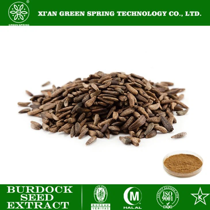 Poudre d'extrait de graines de bardane